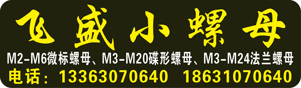 飞盛小螺母